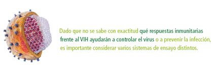 Imagen: Destacado de texto